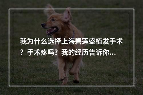 我为什么选择上海碧莲盛植发手术？手术疼吗？我的经历告诉你真相