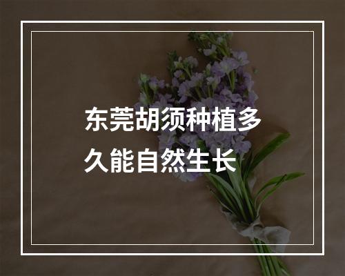 东莞胡须种植多久能自然生长