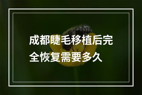 成都睫毛移植后完全恢复需要多久