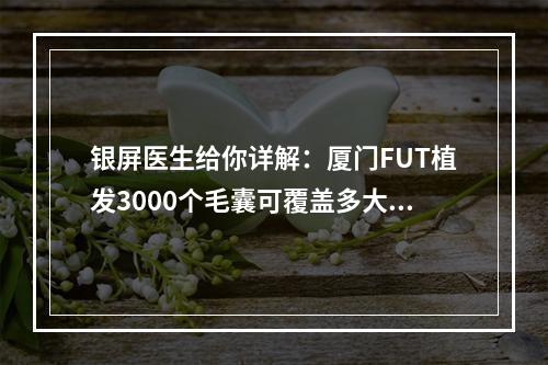 银屏医生给你详解：厦门FUT植发3000个毛囊可覆盖多大面积