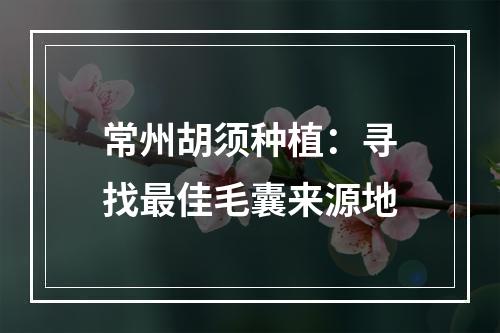 常州胡须种植：寻找最佳毛囊来源地