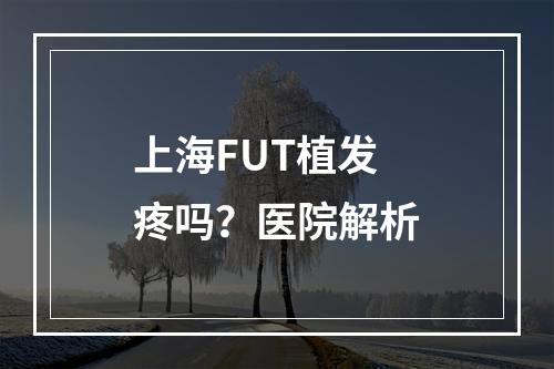 上海FUT植发疼吗？医院解析