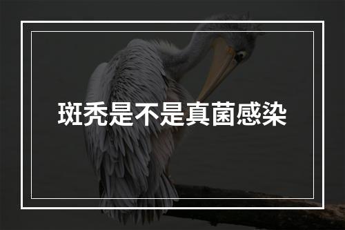 斑秃是不是真菌感染