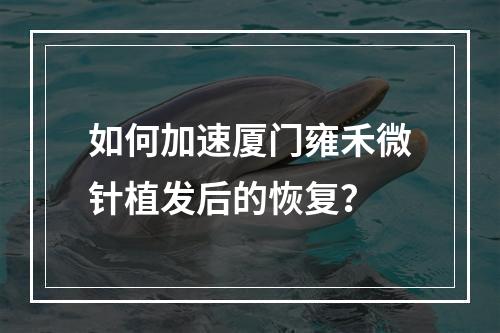 如何加速厦门雍禾微针植发后的恢复？