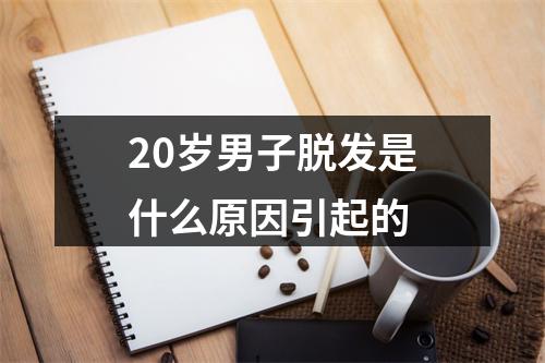 20岁男子脱发是什么原因引起的