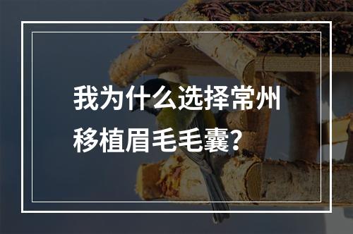 我为什么选择常州移植眉毛毛囊？