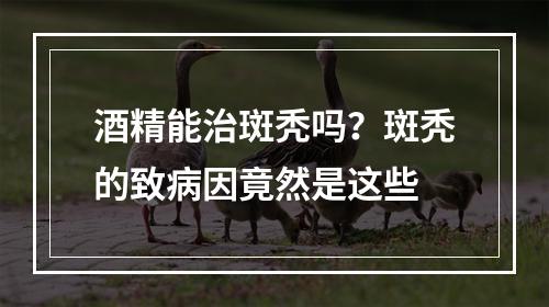 酒精能治斑秃吗？斑秃的致病因竟然是这些