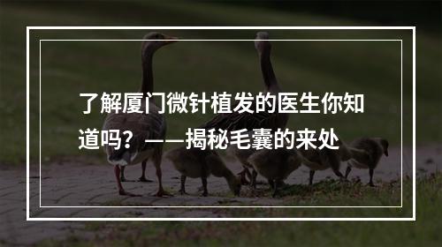 了解厦门微针植发的医生你知道吗？——揭秘毛囊的来处