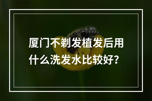 厦门不剃发植发后用什么洗发水比较好？