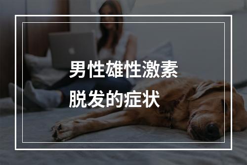 男性雄性激素脱发的症状