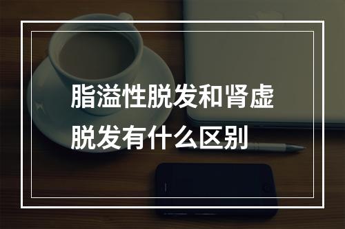 脂溢性脱发和肾虚脱发有什么区别