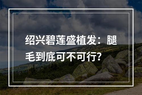 绍兴碧莲盛植发：腿毛到底可不可行？