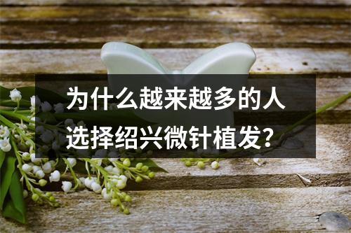 为什么越来越多的人选择绍兴微针植发？