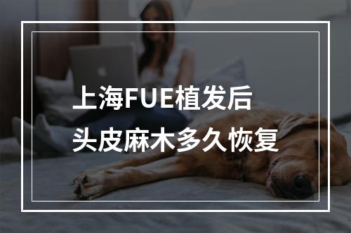 上海FUE植发后头皮麻木多久恢复