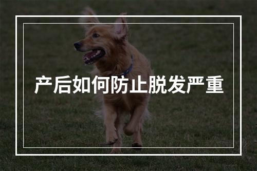 产后如何防止脱发严重