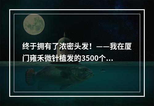 终于拥有了浓密头发！——我在厦门雍禾微针植发的3500个毛囊植发经历