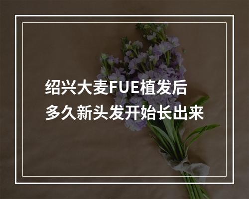 绍兴大麦FUE植发后多久新头发开始长出来