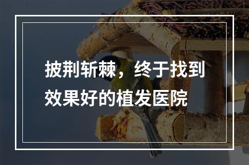 披荆斩棘，终于找到效果好的植发医院