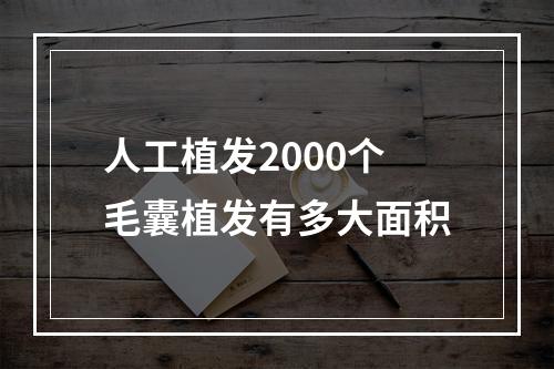 人工植发2000个毛囊植发有多大面积