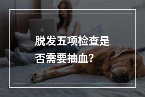 脱发五项检查是否需要抽血？