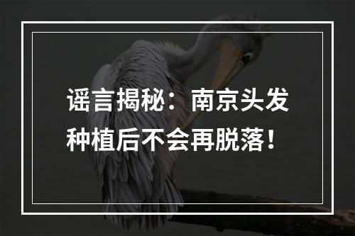 谣言揭秘：南京头发种植后不会再脱落！