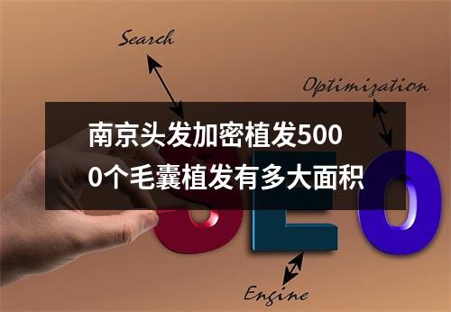 南京头发加密植发5000个毛囊植发有多大面积