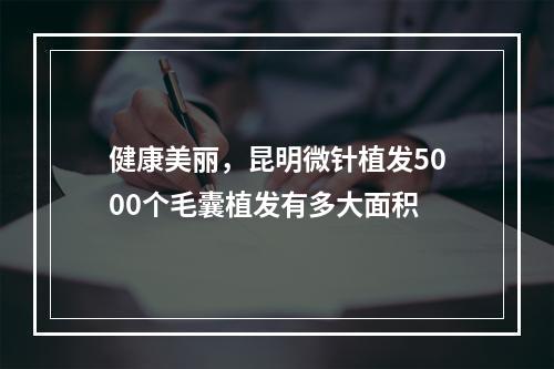 健康美丽，昆明微针植发5000个毛囊植发有多大面积