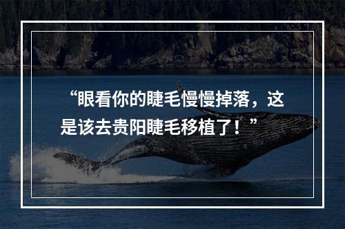 “眼看你的睫毛慢慢掉落，这是该去贵阳睫毛移植了！”