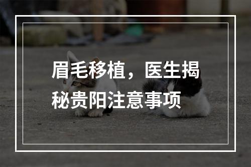 眉毛移植，医生揭秘贵阳注意事项