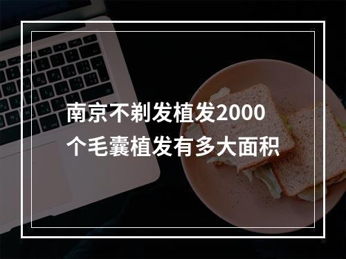 南京不剃发植发2000个毛囊植发有多大面积