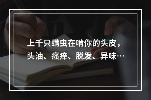 上千只螨虫在啃你的头皮，头油、瘙痒、脱发、异味…