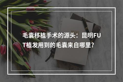 毛囊移植手术的源头：昆明FUT植发用到的毛囊来自哪里？