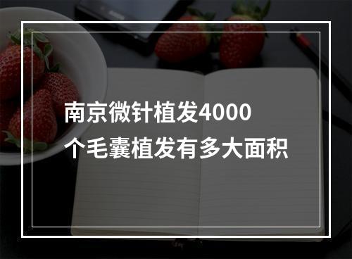 南京微针植发4000个毛囊植发有多大面积