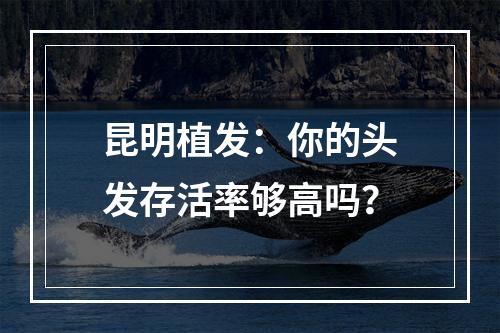 昆明植发：你的头发存活率够高吗？