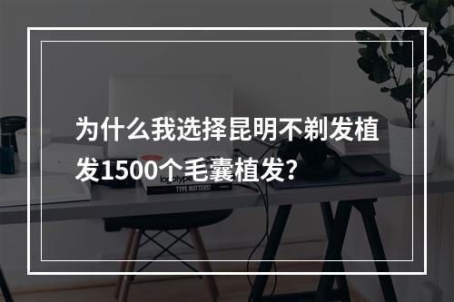 为什么我选择昆明不剃发植发1500个毛囊植发？