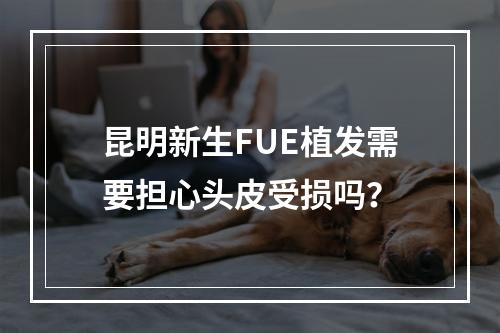 昆明新生FUE植发需要担心头皮受损吗？