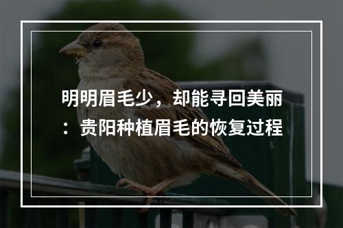 明明眉毛少，却能寻回美丽：贵阳种植眉毛的恢复过程