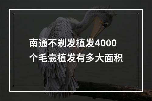 南通不剃发植发4000个毛囊植发有多大面积