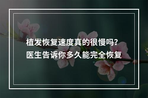 植发恢复速度真的很慢吗？医生告诉你多久能完全恢复