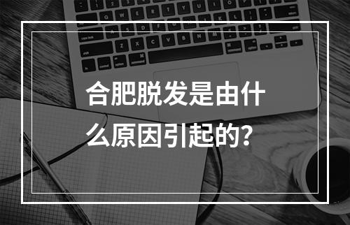 合肥脱发是由什么原因引起的？