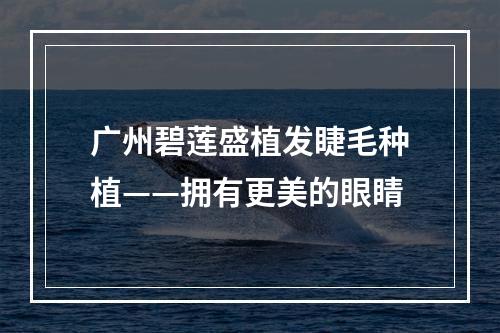 广州碧莲盛植发睫毛种植——拥有更美的眼睛