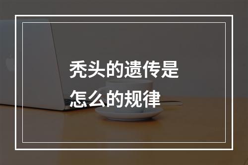 秃头的遗传是怎么的规律