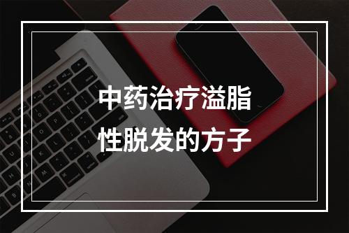 中药治疗溢脂性脱发的方子