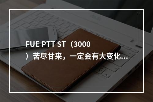 FUE PTT ST（3000）苦尽甘来，一定会有大变化！