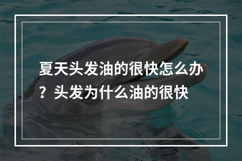 夏天头发油的很快怎么办？头发为什么油的很快