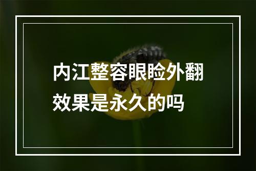 内江整容眼睑外翻效果是永久的吗