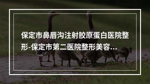 保定市鼻唇沟注射胶原蛋白医院整形-保定市第二医院整形美容科强势入围口碑获赞