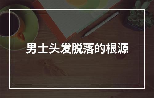 男士头发脱落的根源