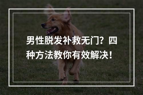 男性脱发补救无门？四种方法教你有效解决！