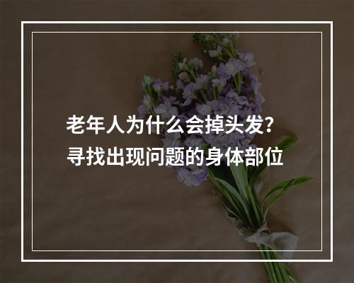 老年人为什么会掉头发？ 寻找出现问题的身体部位